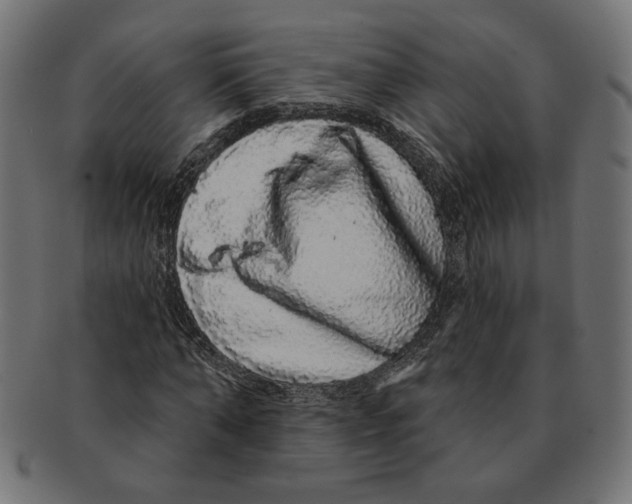 X0000091210870200709061438