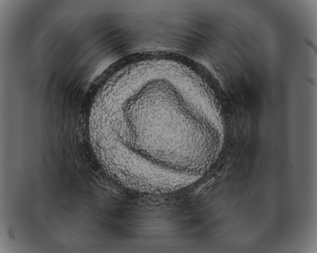 X0000091210871200709061438