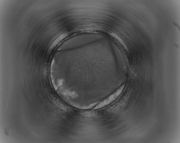 X0000091210874200709061438