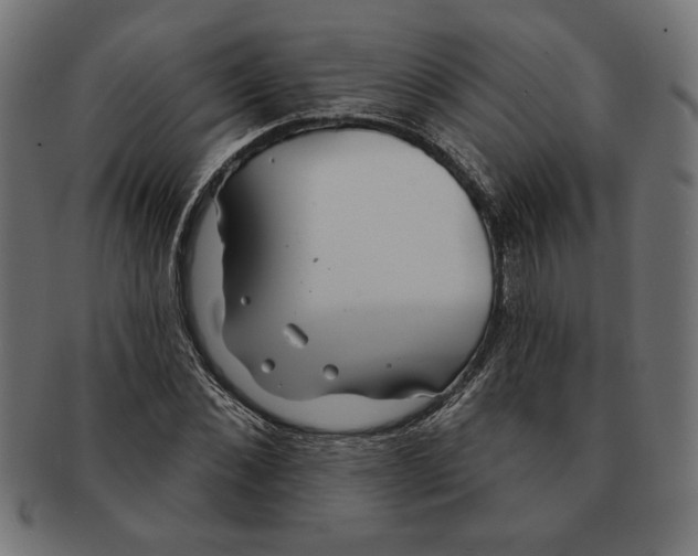 X0000091210876200709061437