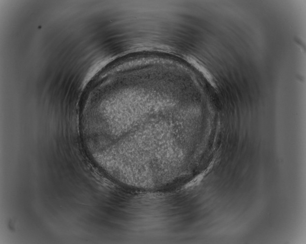 X0000091210877200709061437