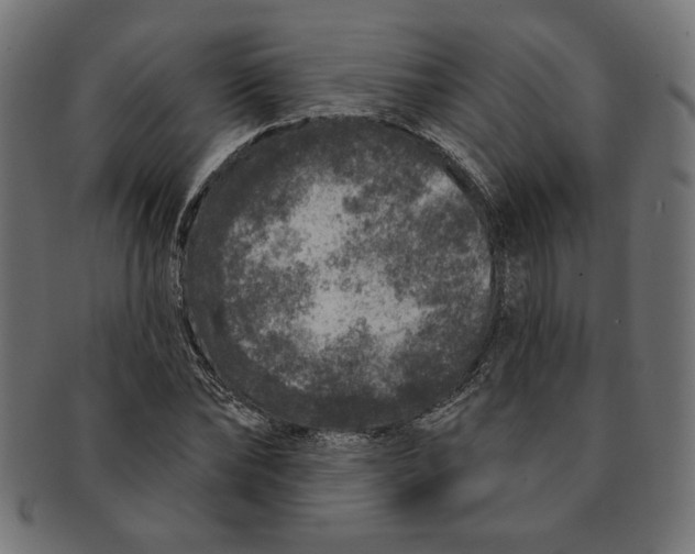 X0000091210878200709061437