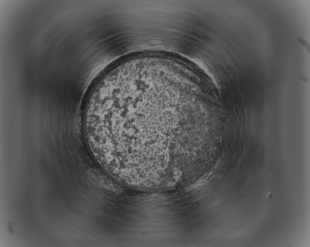 X0000091210879200709061437