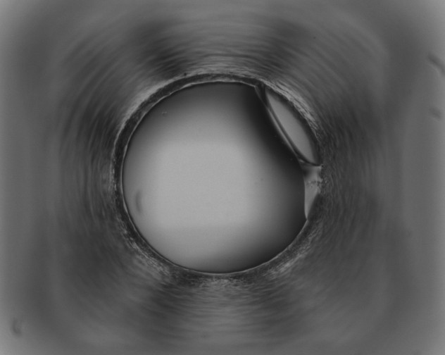 X0000091210880200709061437