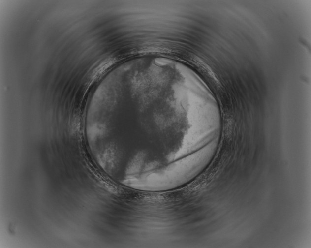 X0000091210882200709061437