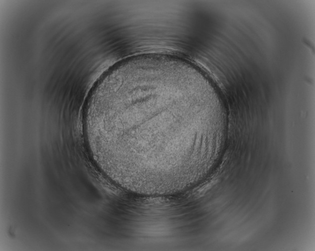 X0000091210883200709061437