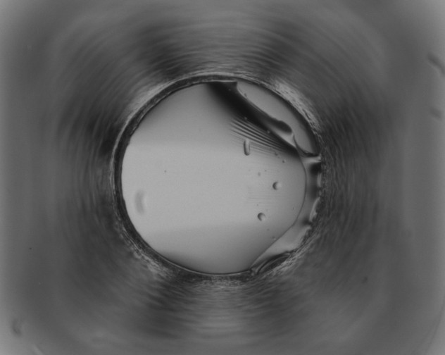 X0000091210884200709061437