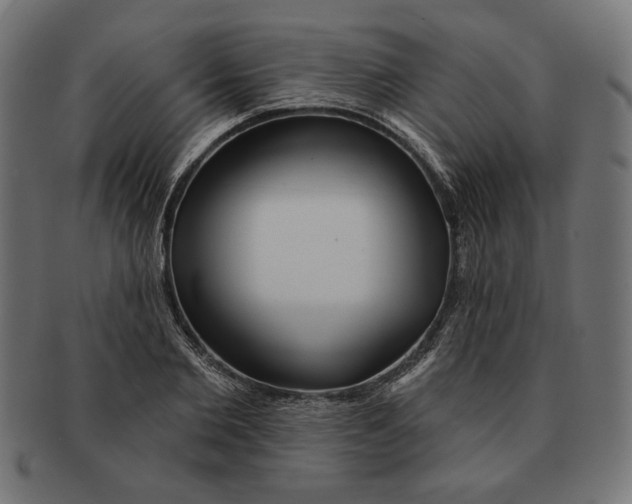 X0000091210885200709061437