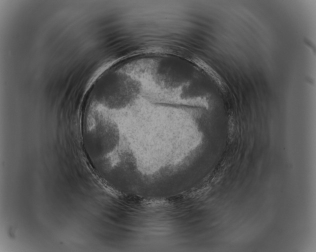 X0000091210886200709061437