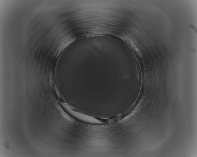 X0000091210889200709061437