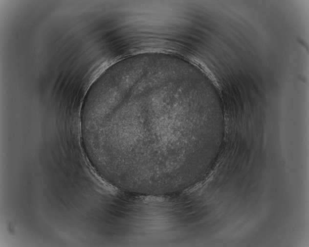 X0000091210890200709061437