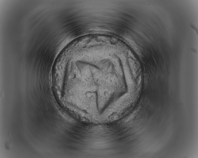 X0000091210891200709061437