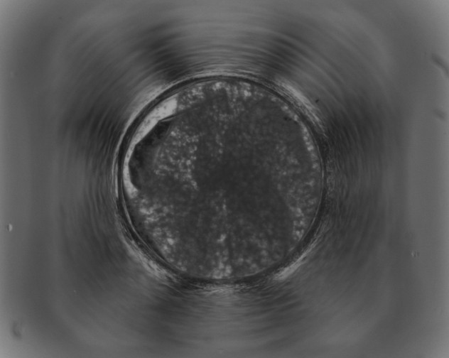 X0000091210892200709061437