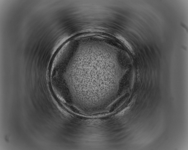 X0000091210893200709061437