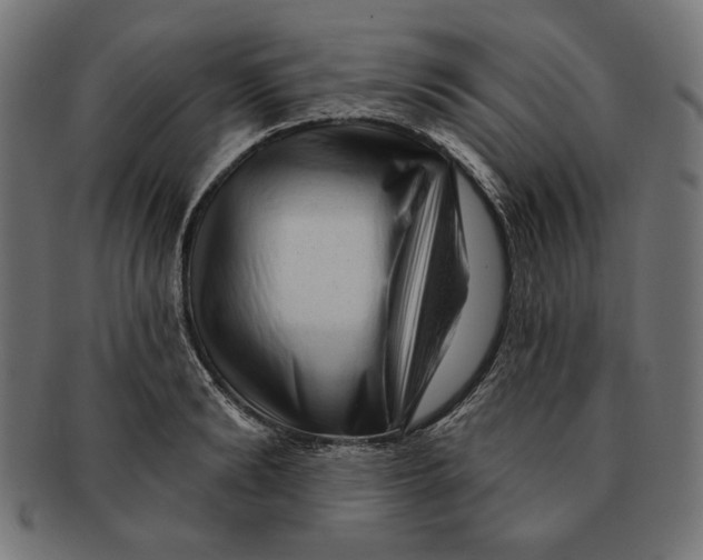 X0000091210894200709061437