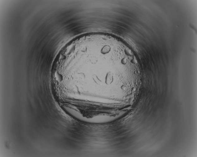 X0000091210895200709061437