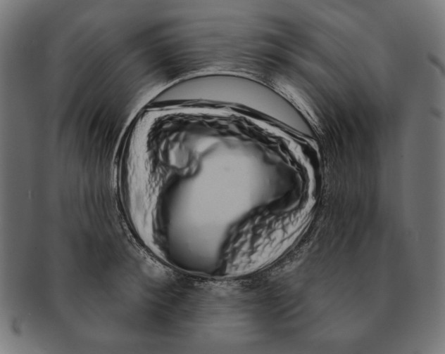 X0000091210900200709061437