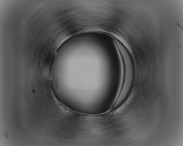 X0000091210905200709061437