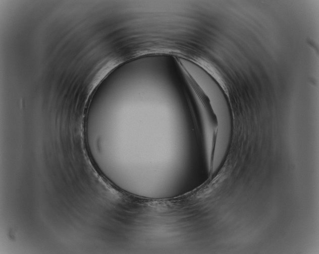 X0000091210906200709061437