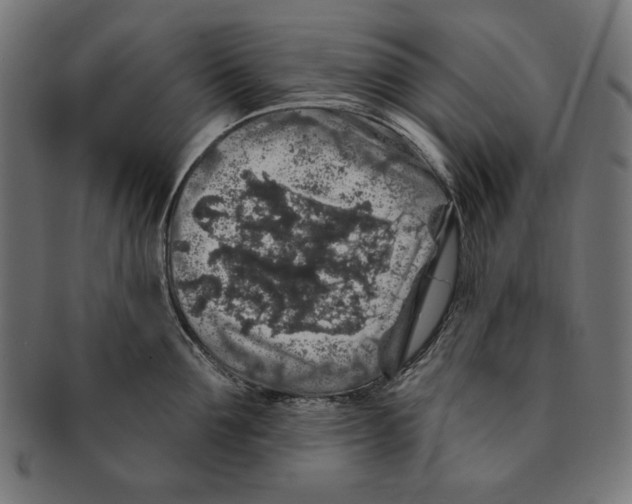 X0000091210907200709061437