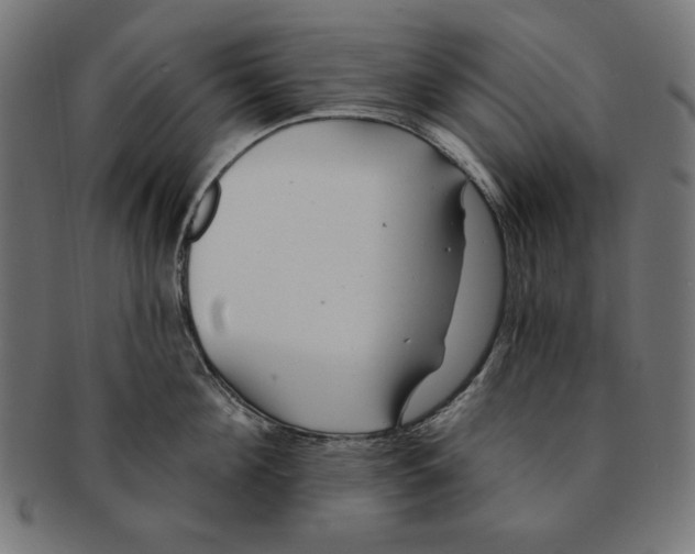 X0000091210908200709061437