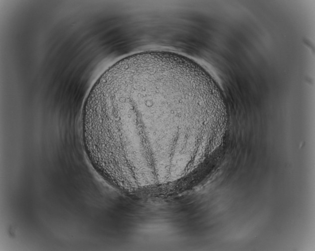 X0000091210911200709061437