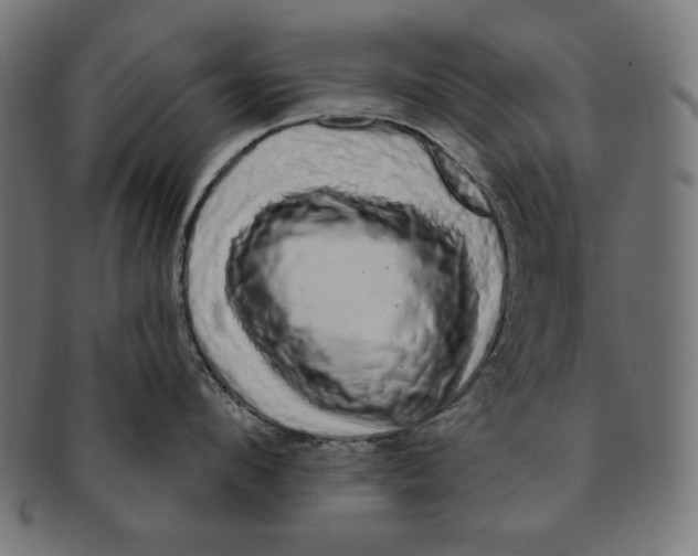 X0000091210912200709061437