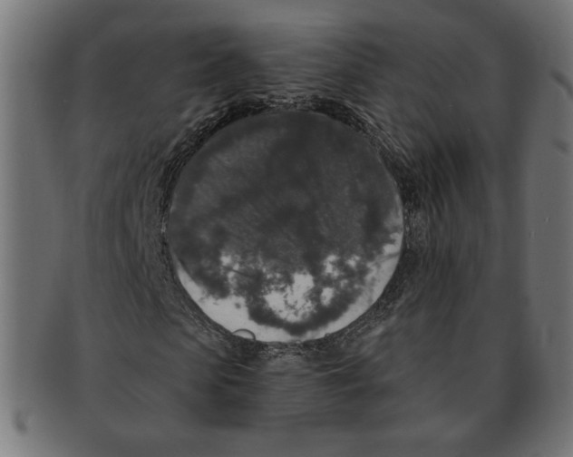 X0000091210913200709061436