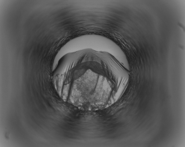 X0000091210916200709061436