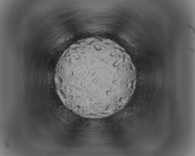 X0000091210917200709061436