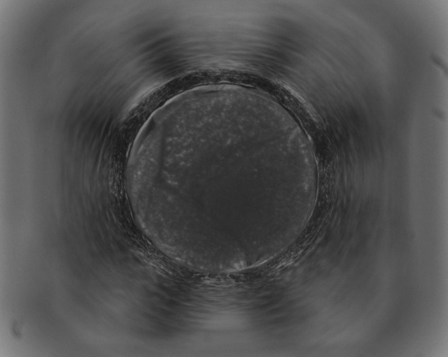 X0000091210919200709061436