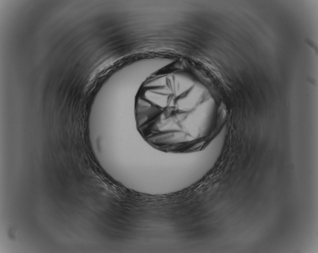 X0000091210920200709061436