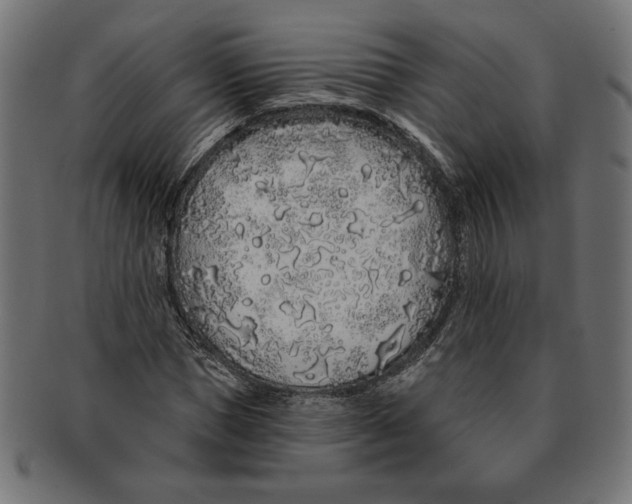 X0000091210921200709061436