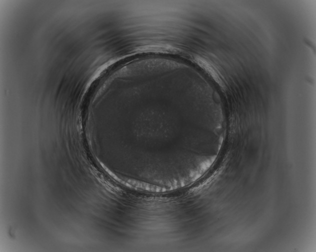 X0000091210923200709061436