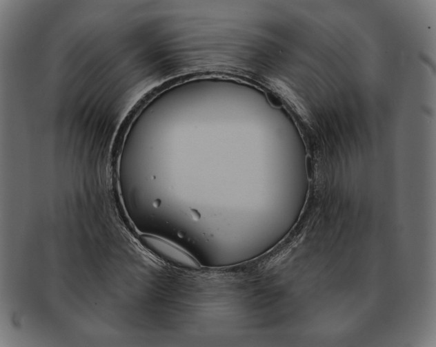 X0000091210924200709061436