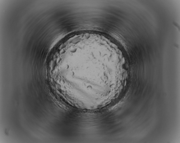 X0000091210925200709061436