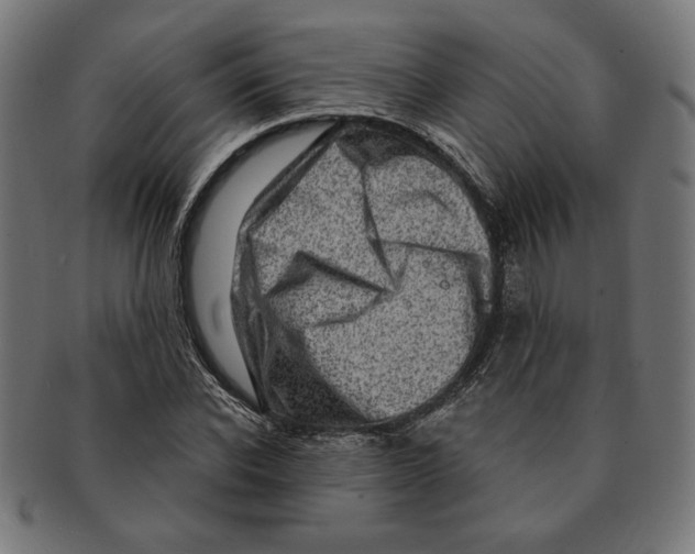 X0000091210926200709061436