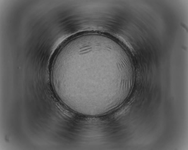 X0000091210927200709061436