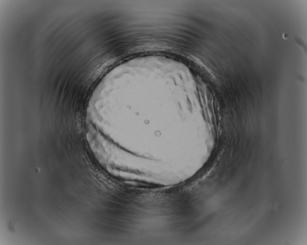 X0000091210929200709061437