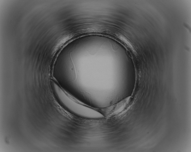 X0000091210930200709061437