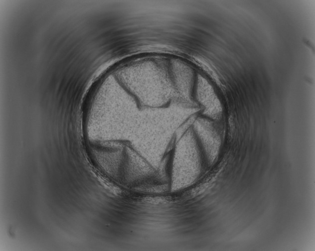 X0000091210931200709061437