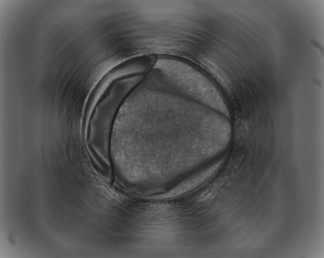 X0000091210932200709061437