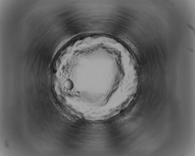 X0000091210933200709061437