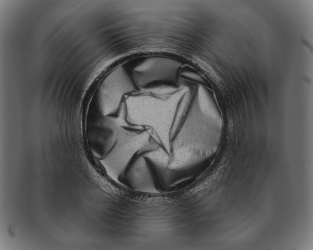 X0000091210934200709061437