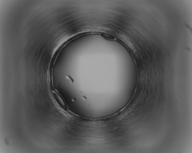 X0000091210936200709061437