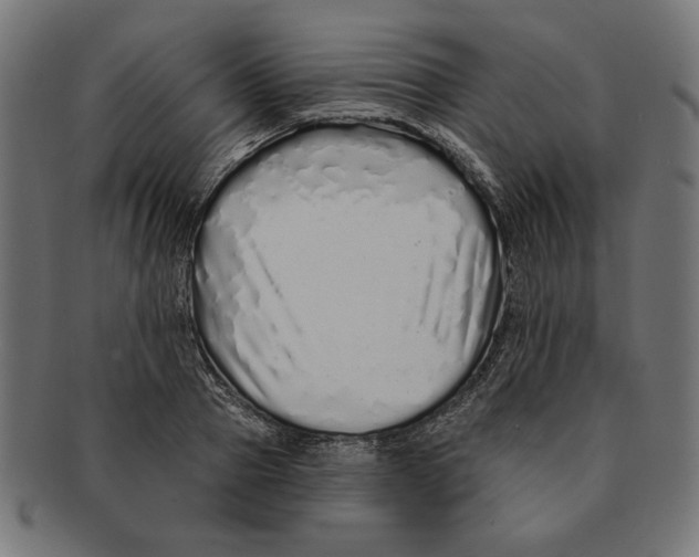 X0000091210937200709061437