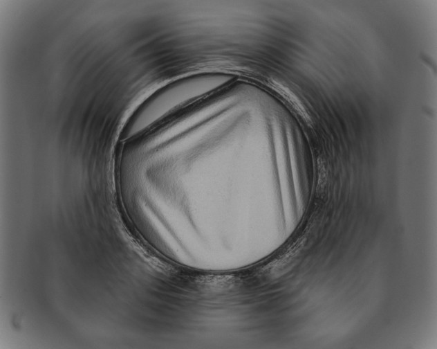 X0000091210939200709061437