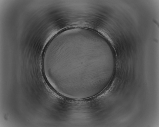 X0000091210941200709061437