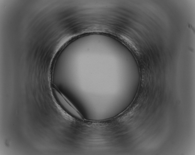 X0000091210942200709061437