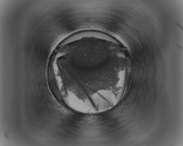 X0000091210943200709061437